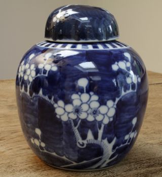 China Ingwertopf Deckelgefäß Porzellan Prunus Dekor Doppelring Bild