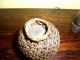Alte Kokosnuss Flasche - Asiatika Lombok Indonesien - Handarbeit Kunst Kokos Entstehungszeit nach 1945 Bild 4
