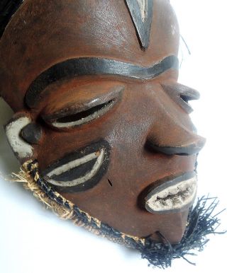 Maske Mbuya,  Pende,  D.  R.  Kongo - Masque Mbuya,  Pende,  D.  R.  Du Congo Bild