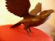 Sehr Alter Mehrteilig Bronze Adler Falke ? Japan Meiji Censer Räuchergefäß Bronze Bild 11