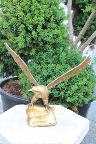 Adler Groß Bronze Asiatika China Tier Figur Asien Geschenkidee SammlerstÜck Bild