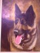 Sehr Schöne Deutscher Schäferhund ölgemälde Internationale Antiq. & Kunst Bild 1