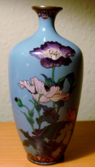Antike Meji Periode Cloisonne Vase Sig.  Ota Hyozo - - Japan Um 1900 Bild