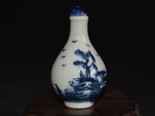 Altes Chinesische Blau - Weiß - Porzellan,  Handbemalt Flowere Snuff Bottle Bild