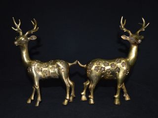 1075g Hirsch Aus China,  Messing,  Bronze,  Mystischer Erfolg Bringer,  23 Cm Bild