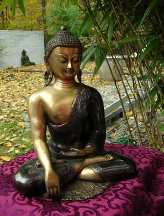 Wunderschöne,  Sehr Feine Sakyamuni Buddha Statue Bronze Aus Tibet 6 Kilo Bild