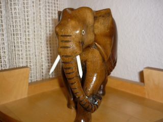 Massiver Elefant Bulle Gut Ausgearbeitet Holz Geschnitzt Gross Ausdrucksvoll Bild