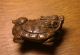 Netsuke Asiatika Japan Edle Schnitzerei SchildkrÖte Signiert Entstehungszeit nach 1945 Bild 1