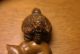 Netsuke Asiatika Japan Edle Schnitzerei SchildkrÖte Signiert Entstehungszeit nach 1945 Bild 4