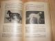 Die Kennzeichen Unserer Rassenhunde 1926 Fr.  Bazille Jagd & Fischen Bild 4