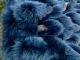Luxus Polarfuchs Pelzmantel Polarfuchs In Blau Gr.  42/44@herrlicher Pelztraum@ Kleidung Bild 11