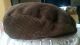 Vintage Herren - Mütze Tellermütze French Beret Barett Hat Baskenmütze Baske Cord Accessoires Bild 1