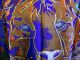 Andy Warhol Seidentuch Endangered Species Sibirian Tiger Pop Art Scarf Schal Accessoires Bild 1