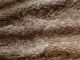 Pelzmantel Aus Waschbärfell Größe 42/44 Kleidung Bild 2