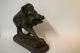 Bronze Statue Figur Skulptur Bronzefigur Wildschwein Keiler Bronzefiguren Bronze Bild 6