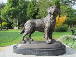 WunderschÖner Lebensechter Bronze Labrador Hund Auf Marmorsockel Bild