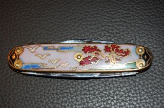 Extrem Schönes Taschenmesser Federmesser Mit Cloisonne - Schalen Um 1900 Toperhalt Bild