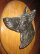 Bronze Hundekopf / Schäferhund / Feine Arbeit / 1400 G / Auf Holzplatte / Hund Bronze Bild 1