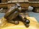 Seltene Antike Bronze Figur Schimpanse Mit Kugel 1900-1949 Bild 1