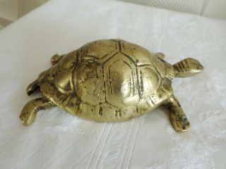 Schildkröte Landschildkröte Tier Dachbodenfund Bild