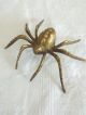 Spinne Vogelspinne? Spider Tier Messing Dachbodenfund Sammler Gefertigt nach 1945 Bild 1