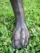 Grosser WunderschÖner Windhund Aus Bronze Tier Deco Bronze Bild 3