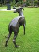 Grosser WunderschÖner Windhund Aus Bronze Tier Deco Bronze Bild 4
