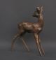 - Bronzefigur - Rehkitz - Bronze Bild 3