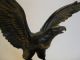 Nachlass,  Alter Großer Bronze Adler Mit Ausgebreiteten Schwingen Auf Felsen Bronze Bild 1