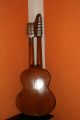 Schrammel Gitarre Saiteninstrumente Bild 1