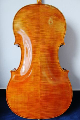 Feines Altes Meister - Cello 4/4 (nr.  2) Old Cello Nur 5tage Bild
