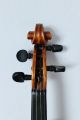 Feine Alte Aussergewöhnliche Violine Old Violin Nur 5 Tage Saiteninstrumente Bild 8