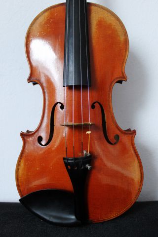 Schöne Alte Violine Old Violin Nur 5 Tage Bild