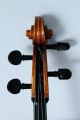 Feines Altes Meister - Cello 4/4 Old Cello Nur 5tage Saiteninstrumente Bild 3