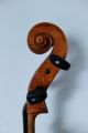Feines Altes Meister - Cello 4/4 Old Cello Nur 5tage Saiteninstrumente Bild 7