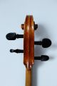 Feines Altes Meister - Cello 4/4 Old Cello Nur 5tage Saiteninstrumente Bild 8