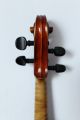 Feine Alte Französische - Violine Old Violin Nur 5tage Saiteninstrumente Bild 6