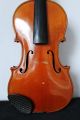 Feine Alte Meister - Violine 2 Old Violin Nur 5tage Saiteninstrumente Bild 1