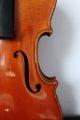 Feine Alte Meister - Violine 2 Old Violin Nur 5tage Saiteninstrumente Bild 2