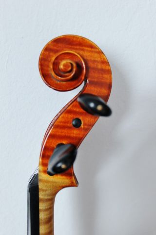 Feine Alte Meister - Violine Old Violin Nur 5tage Bild