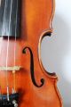 Feine Alte Meister - Violine Old Violin Nur 5tage Saiteninstrumente Bild 3