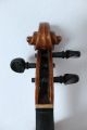 Feine Alte Violine Old Violin Nur 5tage Saiteninstrumente Bild 3
