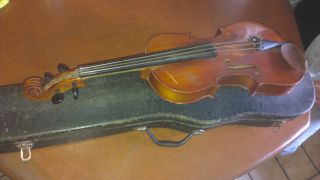 Geige Antonius Stradivarius Faciebat 1721 Bild