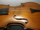 Antik Geige Violine Innenzettel Carlo Bergonzi Fece In Cremona Saiteninstrumente Bild 5