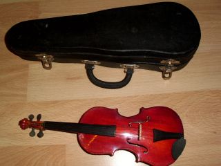 Minigeige/violine Für Sammler Bild