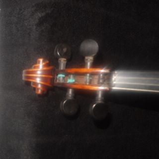 Alte 4/4 Geige Mit Zettel Stefano Bekani 1890 Bild