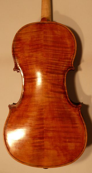 Alte 4/4 Violine / Geige Old Violin Labeled Eugenio Degani Venezia Bild