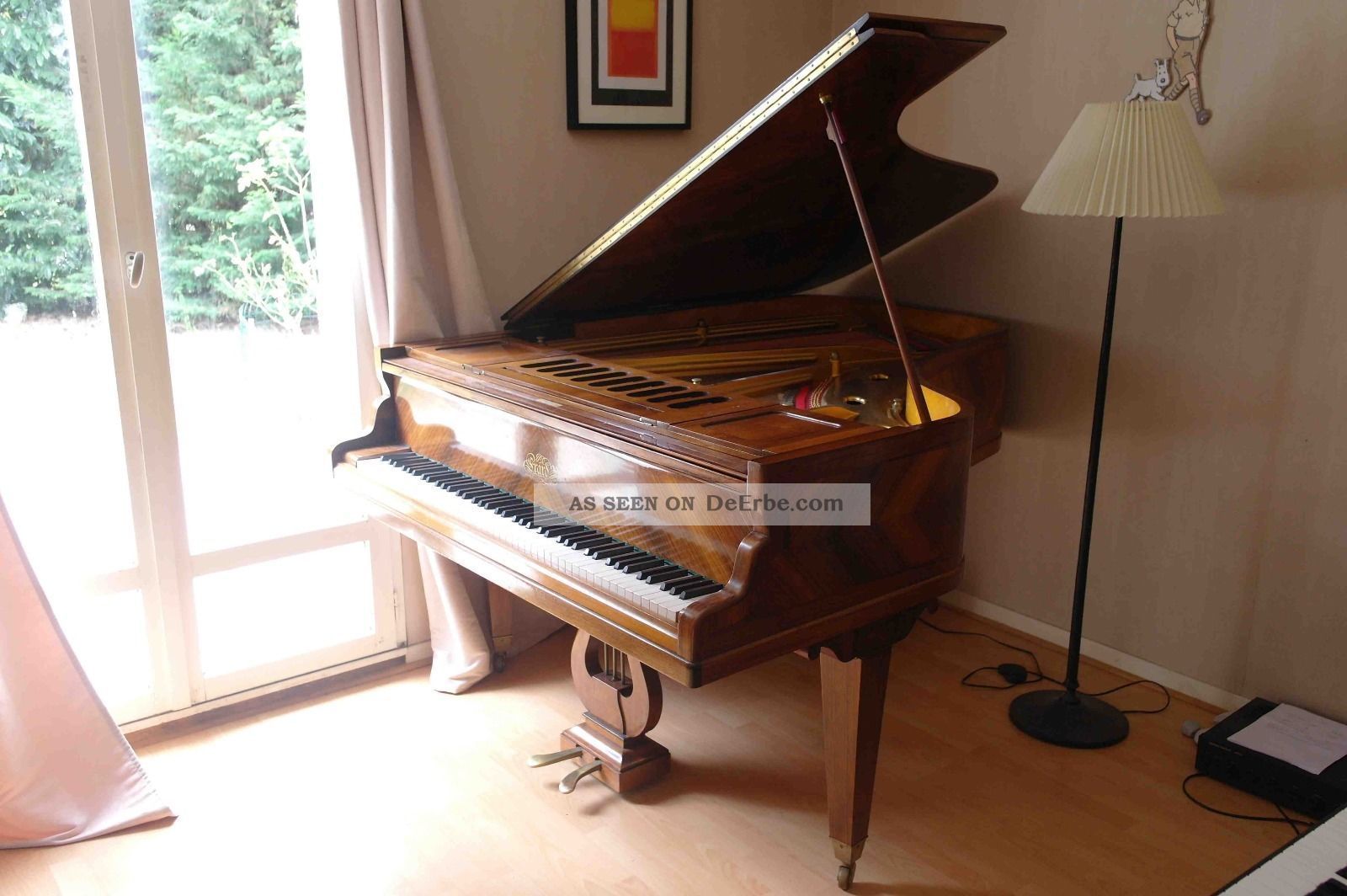 Erard Art Case Flügel Palisander Holz 180 Cm Für über 5000€ GenerakÜberholt