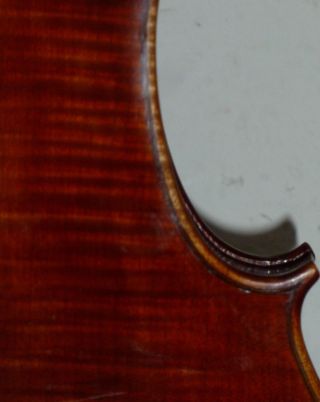 Alte 4/4 Violine Geige Fine Old Violin Labeled Mingi Alberto 1941 Bild