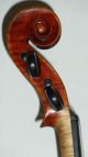 Alte 4/4 Violine Geige Fine Old Violin Labeled Mingi Alberto 1941 Saiteninstrumente Bild 2
